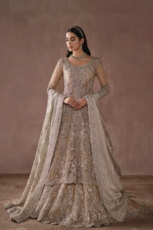 Grand Champagne Gold Reception Bridal Gown (d-01) By Ammara Khan