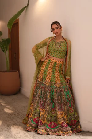 Multi Kali Lehnga Choli (d-06) By Ammara Khan