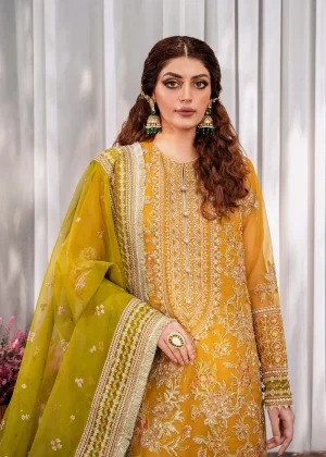 Rohi By Akbar Aslam