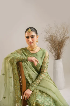 Fareena By Akbar Aslam