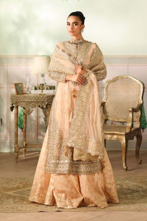 3 Piece Embroidered Net Suit