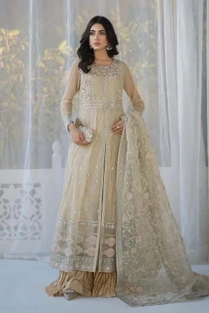 3 Piece Embroidered Net Suit Sf ef 24 18 Skin
