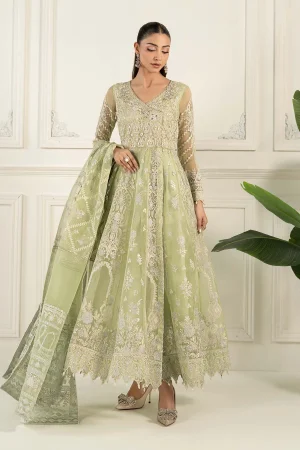 3 Piece Embroidered Organza Suit  SF EF25 44