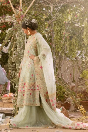 Sitaar bridal ( kalidaar ) by Agha Noor