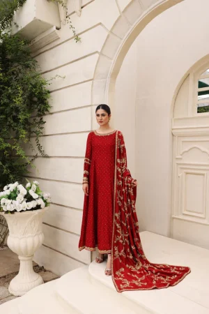 Anika by Agha Noor
