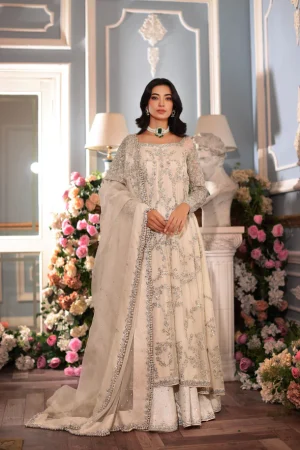 Rashmeen Silver by Agha Noor