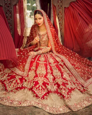 Zarmina By Faiza Saqlain
