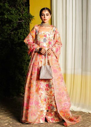 Tawny By Hussain Rehar