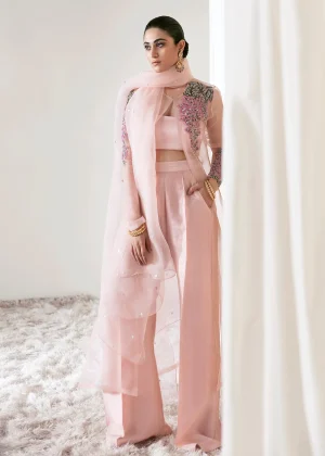 Linum By Hussain Rehar