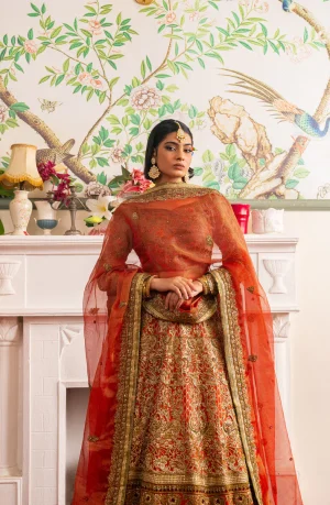 Shabnam Lehenga Choli Ensemble with A Zari Net Dupatt By HSY