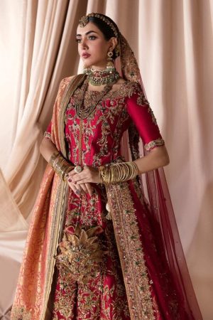 Andaaz E Bayaan By Nilofer