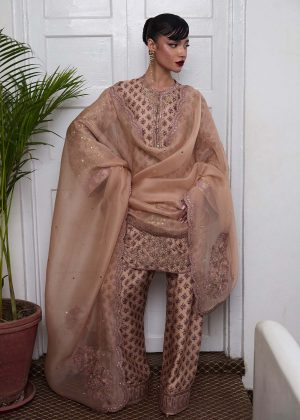 Fran By Hussain Rehar