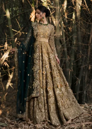 Gaia By Hussain Rehar