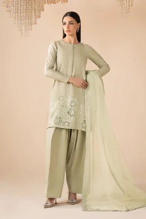 3 Piece Embellished Raw Silk Suit SF PF25 16 By Maria B