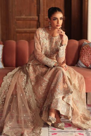 3 Piece Embroidered Organza Suit SF W25 13 By Maria B